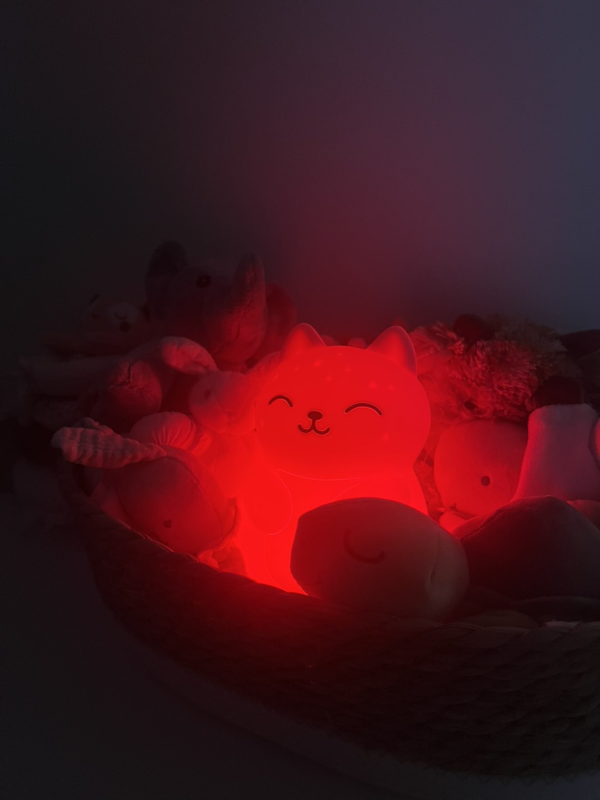 Veilleuse Bébé Céleste — Lumière Rouge, Sommeil Préservé